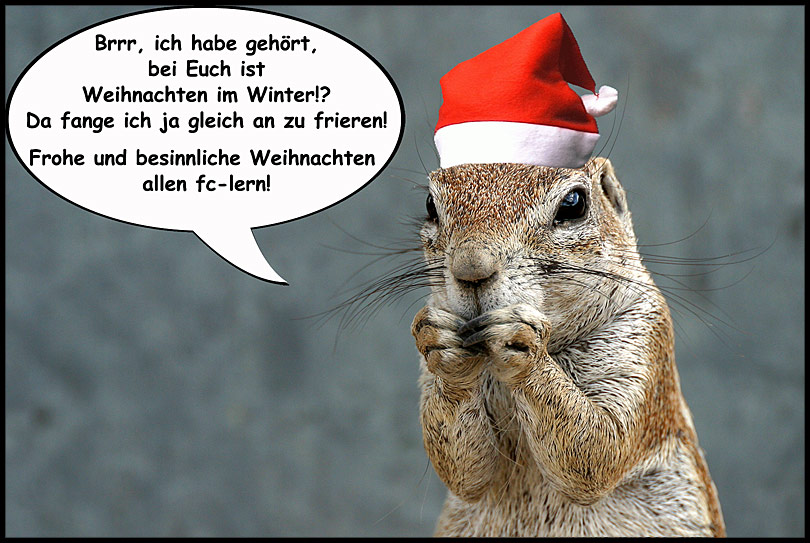 Frohe und besinnliche Weihnachten ! von Ralf Engel