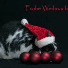 Frohe und besinnliche Weihnachten