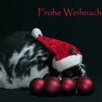 Frohe und besinnliche Weihnachten