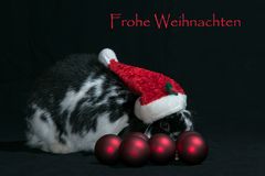 Frohe und besinnliche Weihnachten