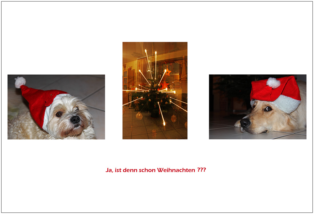 Frohe und friedvolle Weihnachtstage