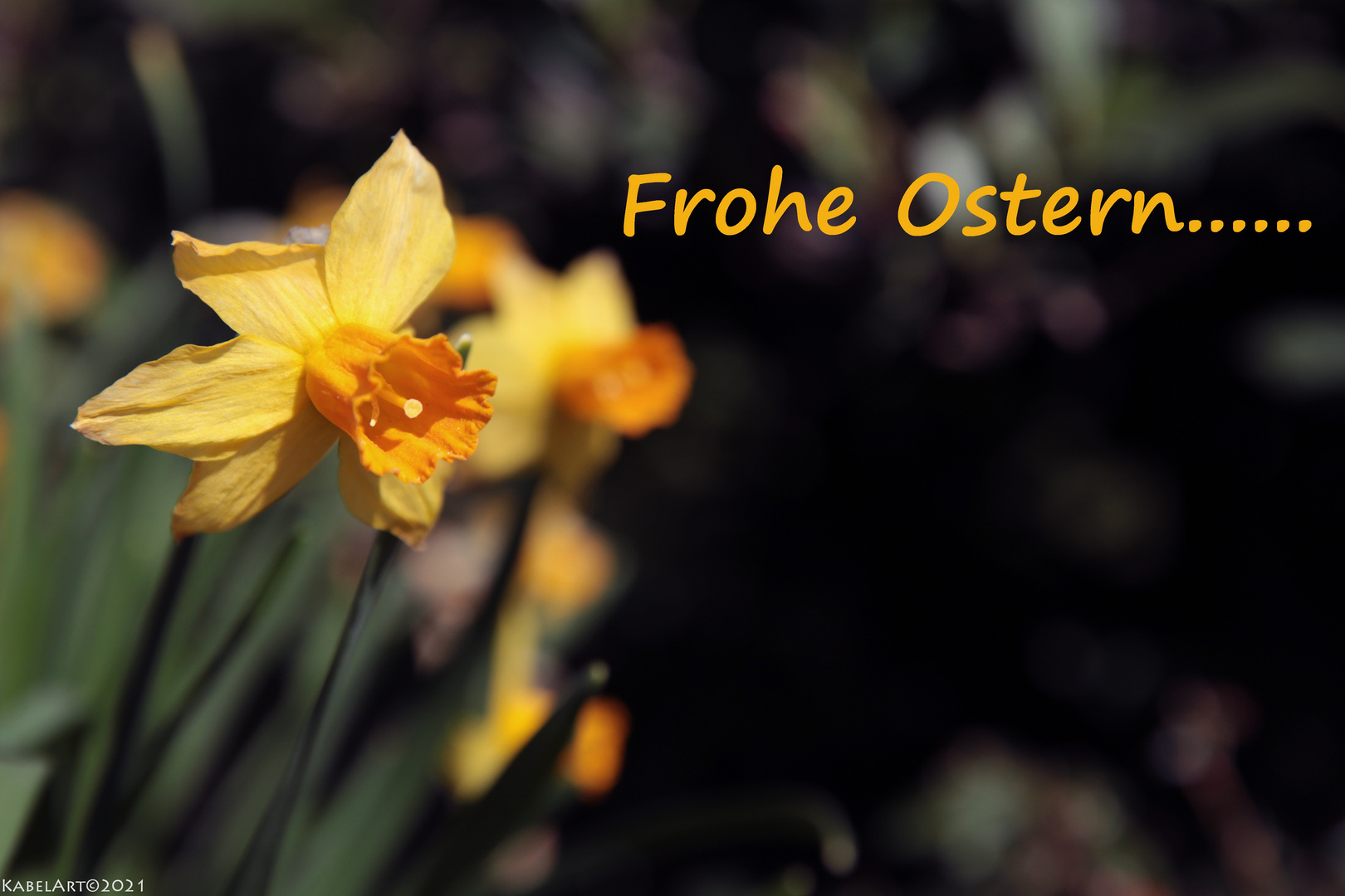 Frohe und gesegnete Ostern....... 2021