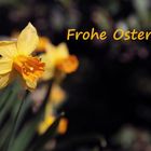 Frohe und gesegnete Ostern....... 2021