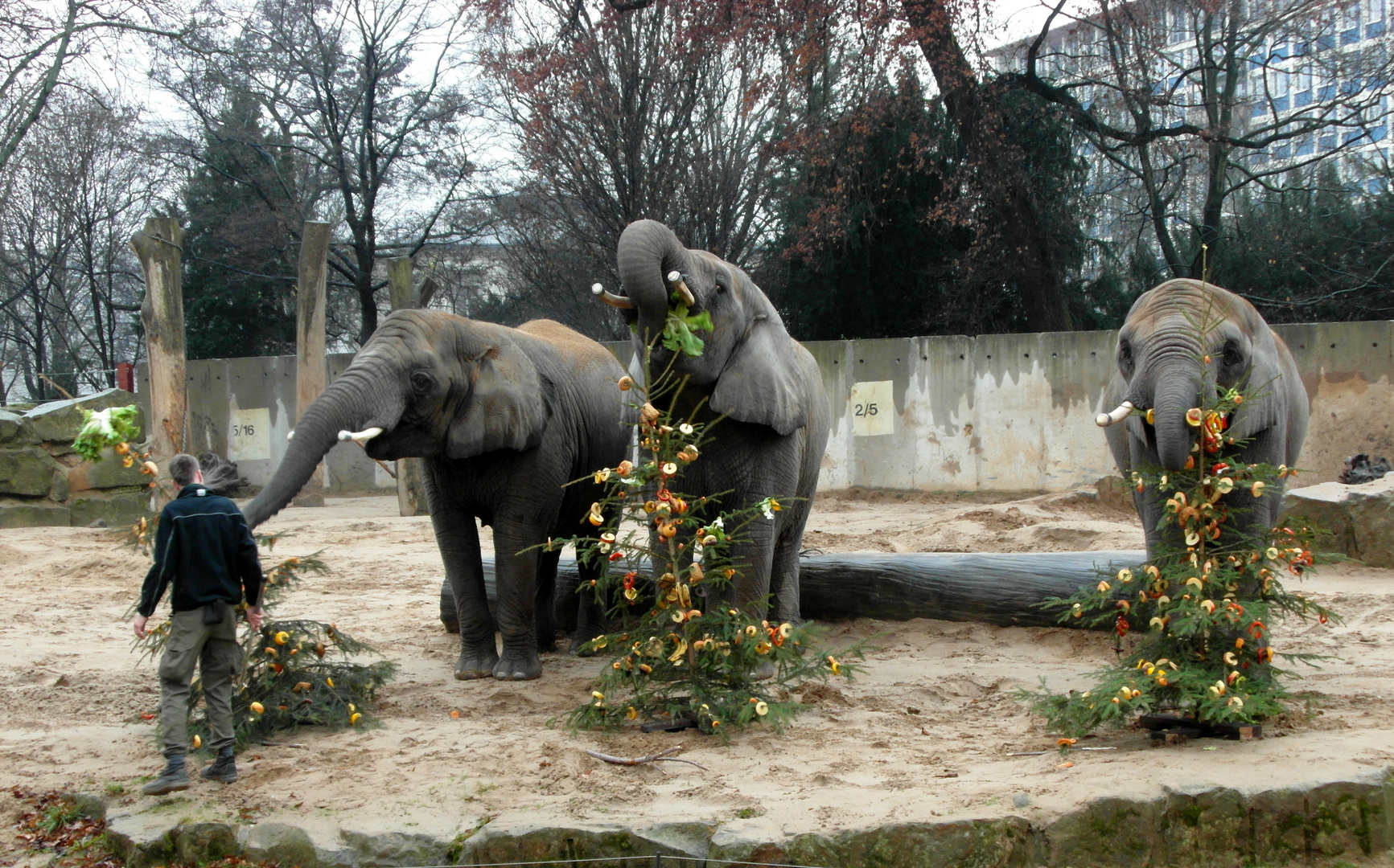 Frohe und gesunde Weihnachten