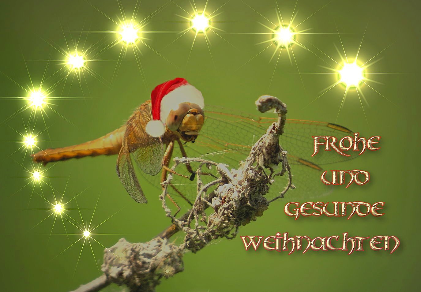 Frohe und gesunde Weihnachten ...