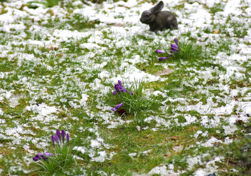 Frohe Weihna äähhh Ostern...