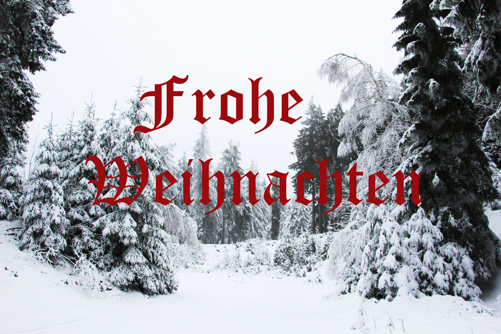 Frohe Weihnacht 2014