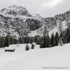 Frohe Weihnacht