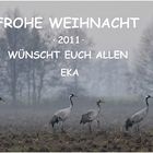 Frohe Weihnacht ....