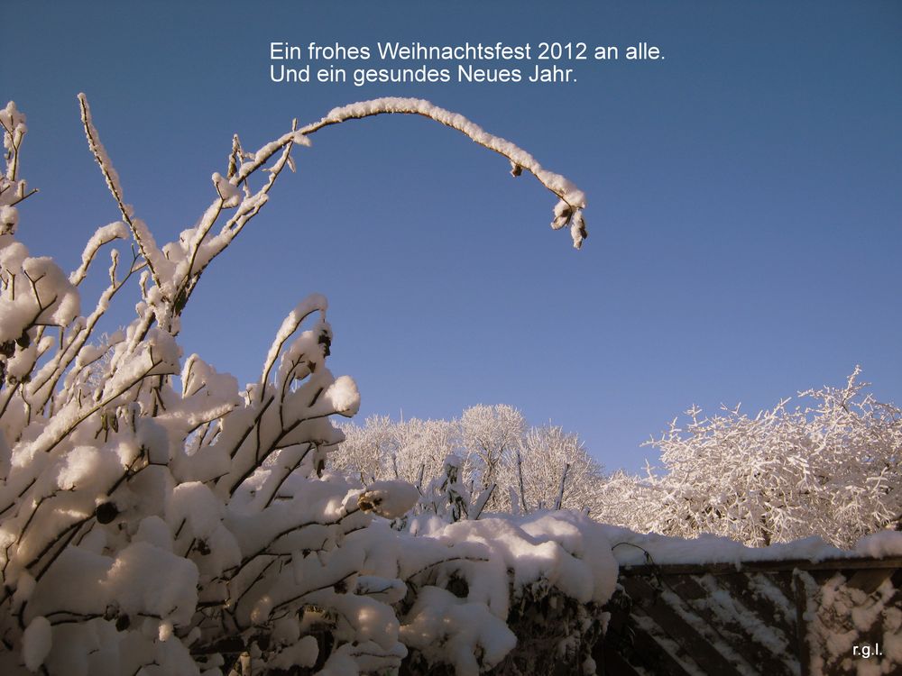 Frohe Weihnacht