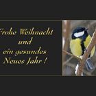 Frohe Weihnacht!