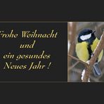 Frohe Weihnacht!