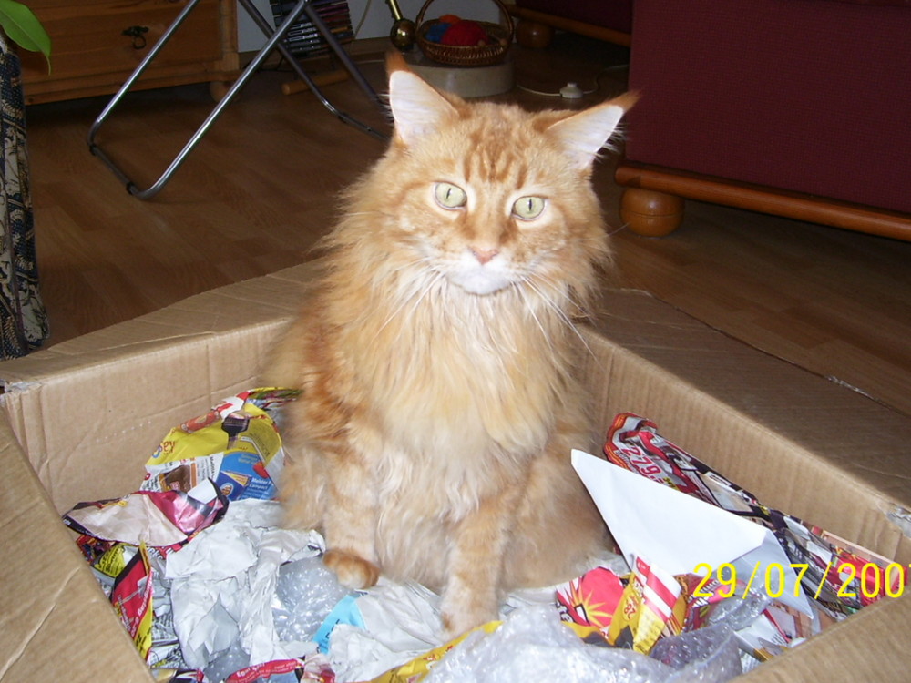 frohe weihnacht! alles ausgepackt!