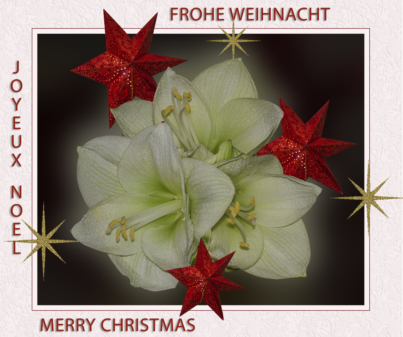 FROHE WEIHNACHT