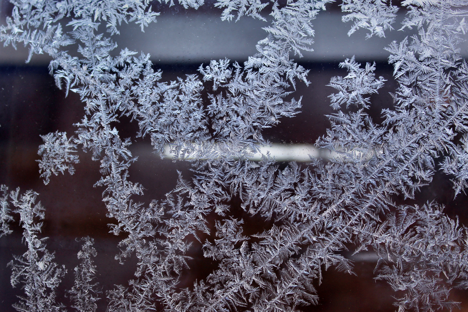 Frohe Weihnacht duch die Eisblume