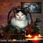 Frohe Weihnachten