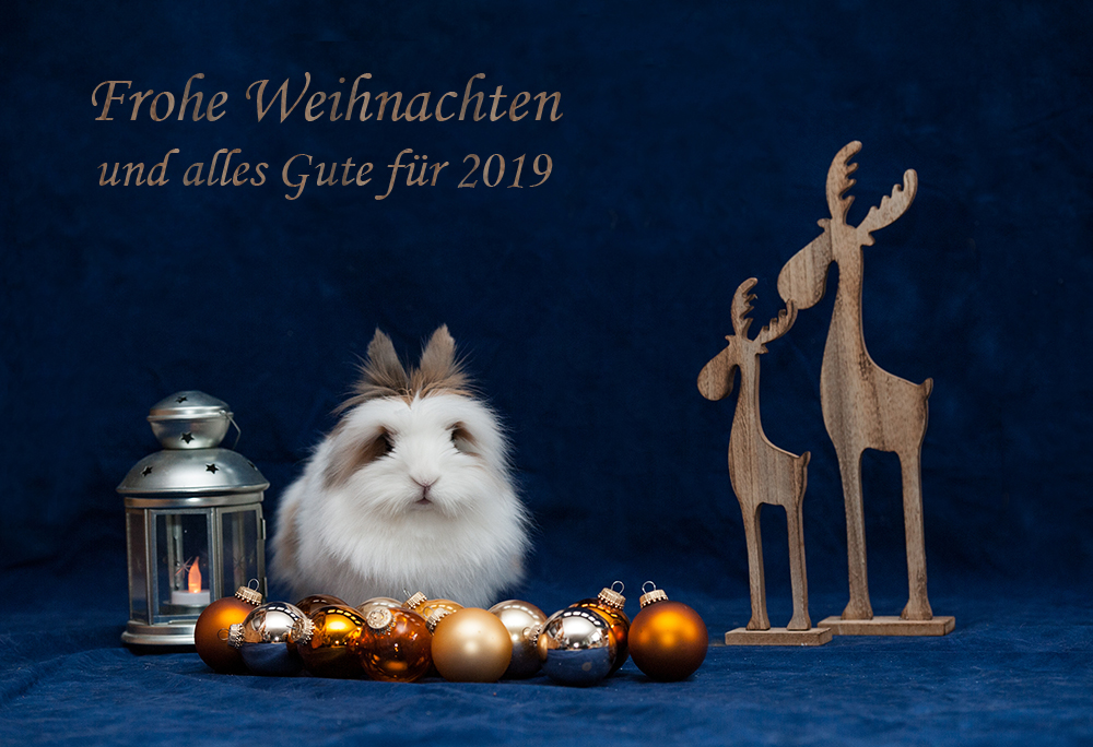 Frohe Weihnachten