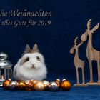 Frohe Weihnachten