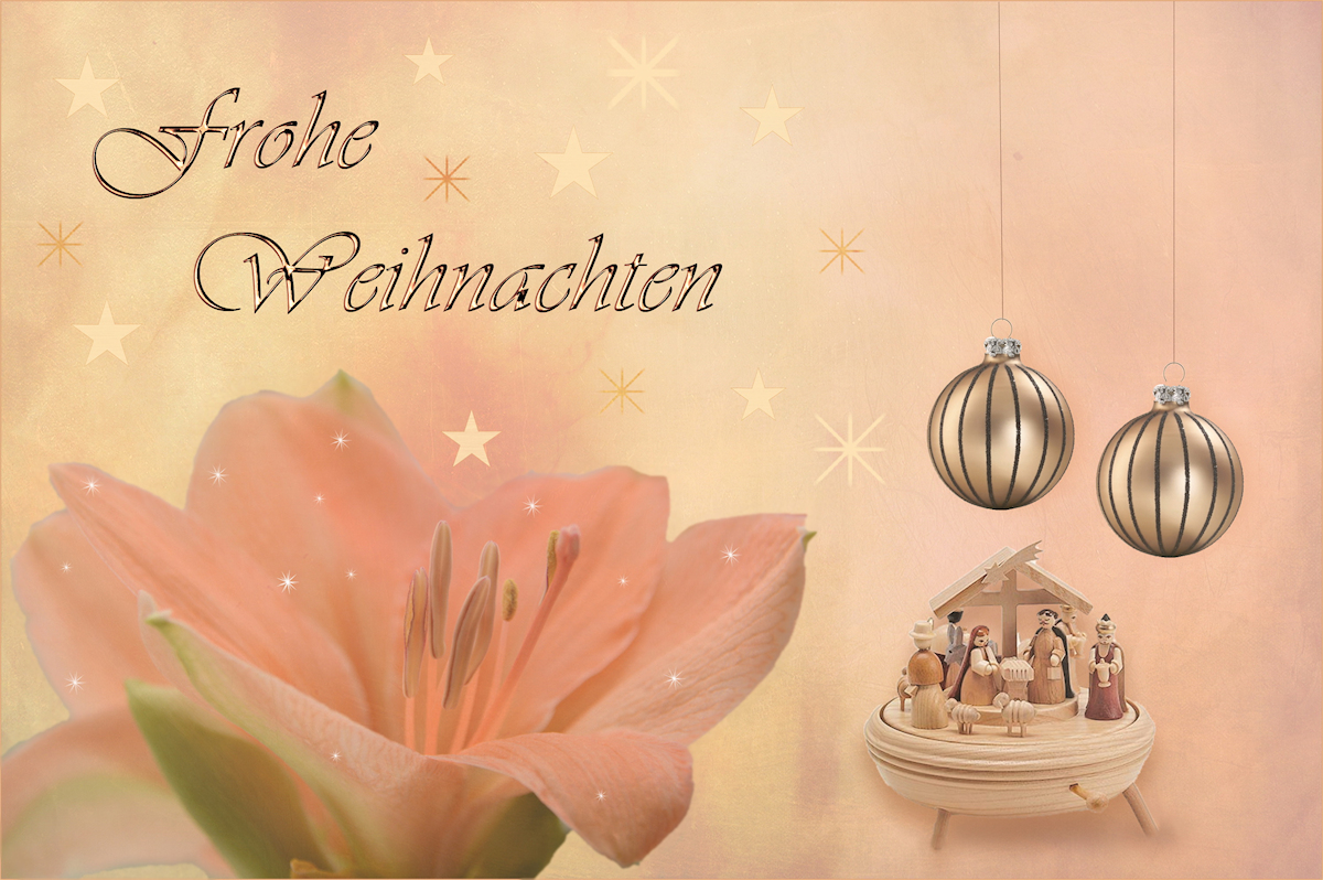 Frohe Weihnachten 