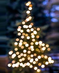 Frohe Weihnachten 