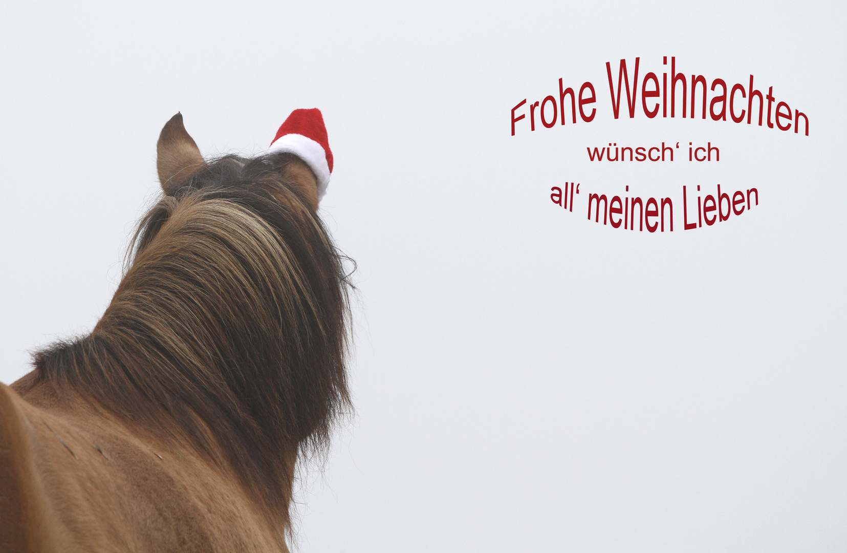 * Frohe Weihnachten... *