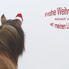 * Frohe Weihnachten... *