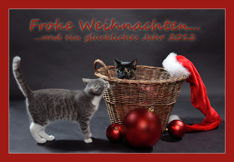 Frohe Weihnachten!!!