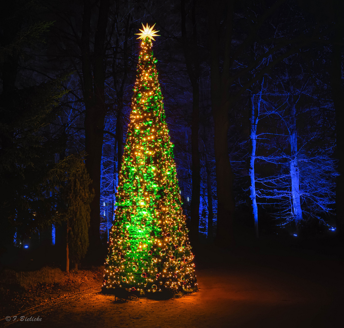 Frohe Weihnachten