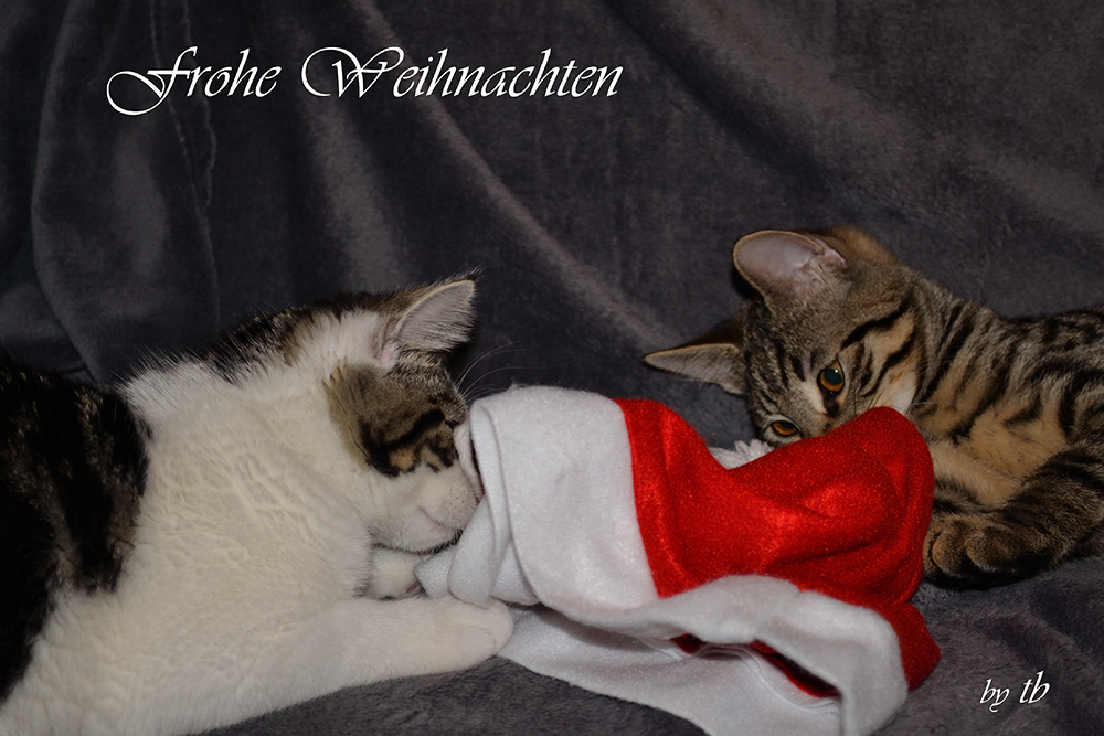 Frohe Weihnachten