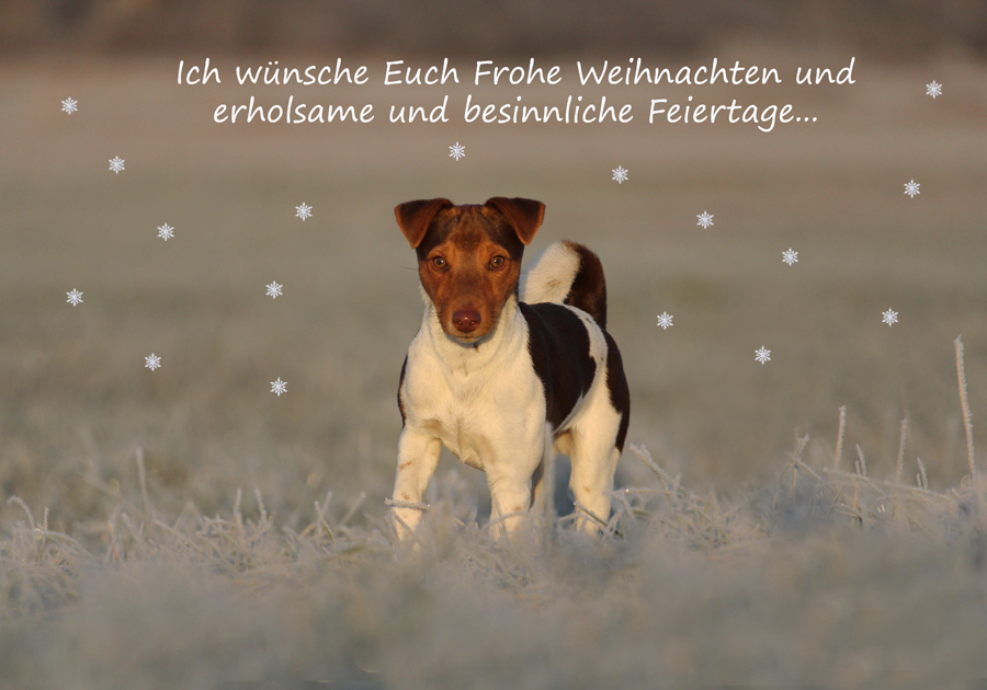 Frohe Weihnachten...