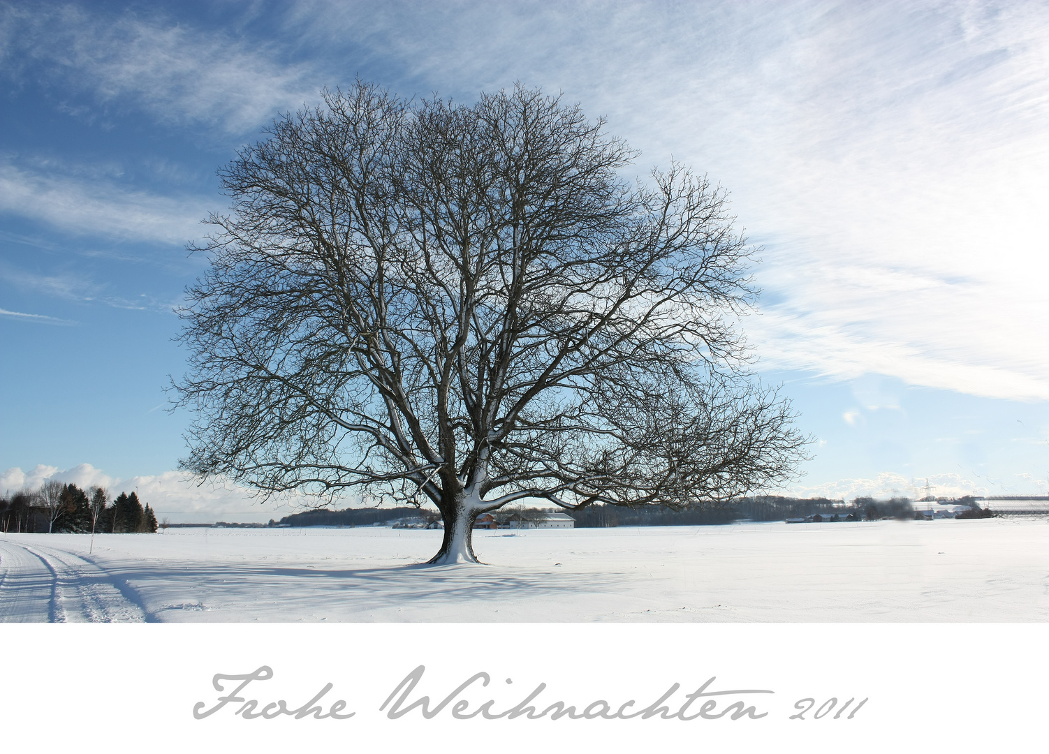 Frohe Weihnachten!!!!