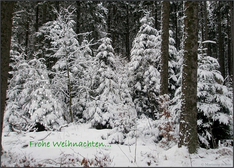 Frohe Weihnachten...