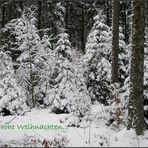 Frohe Weihnachten...