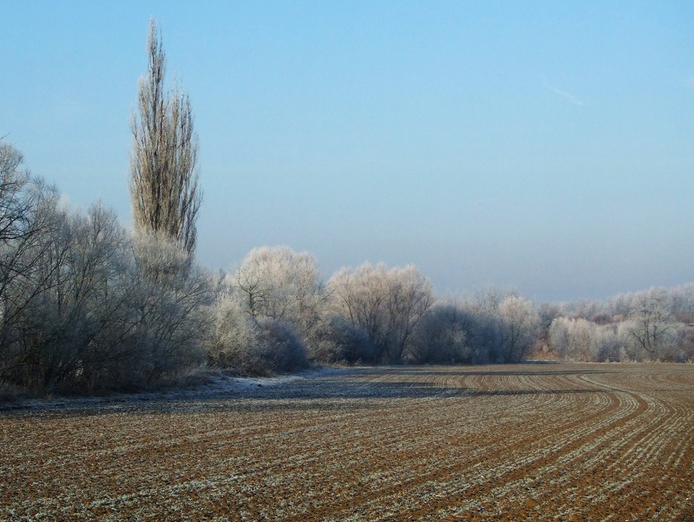 Frohe Weihnachten