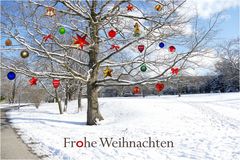 Frohe Weihnachten