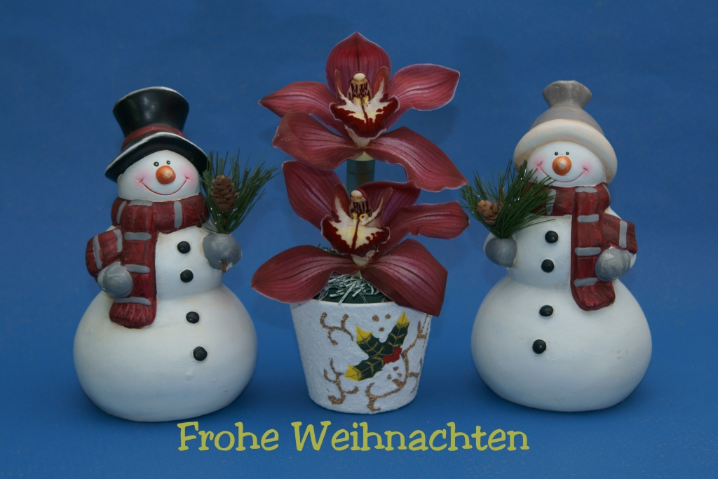 Frohe Weihnachten