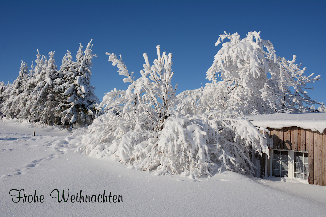 FROHE WEIHNACHTEN