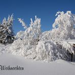 FROHE WEIHNACHTEN