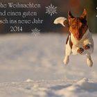 Frohe Weihnachten...