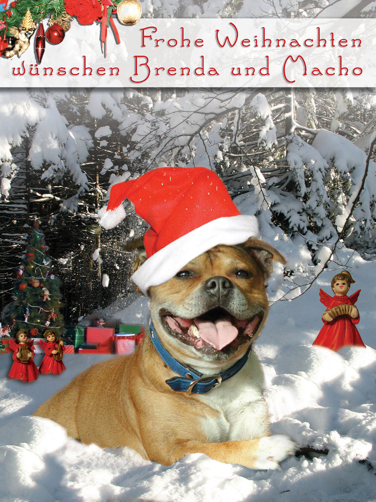 FROHE WEIHNACHTEN 2007