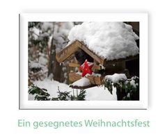 Frohe Weihnachten 2010