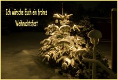 Frohe Weihnachten 2010