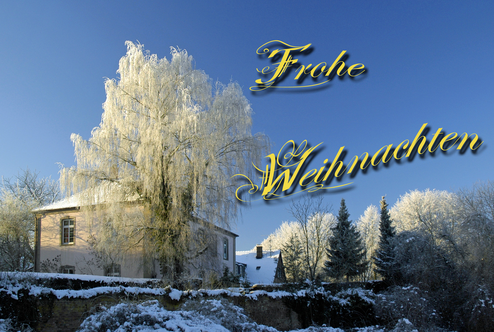 Frohe Weihnachten 2011