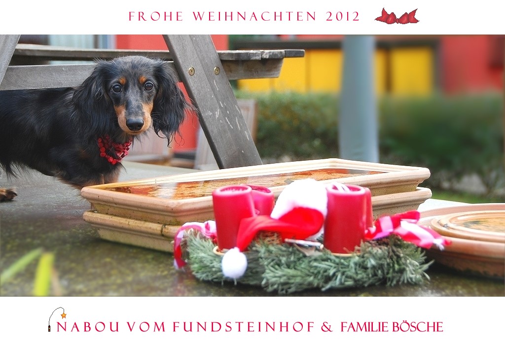 Frohe Weihnachten 2012