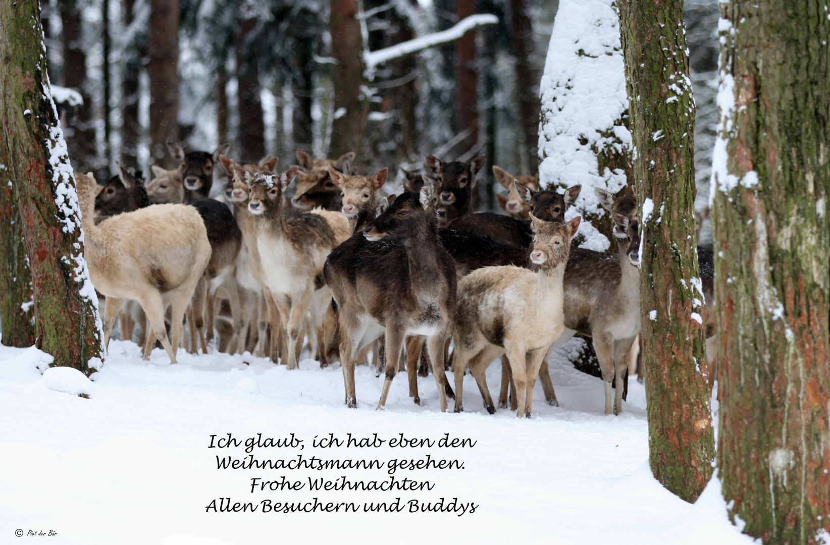 Frohe Weihnachten 2013