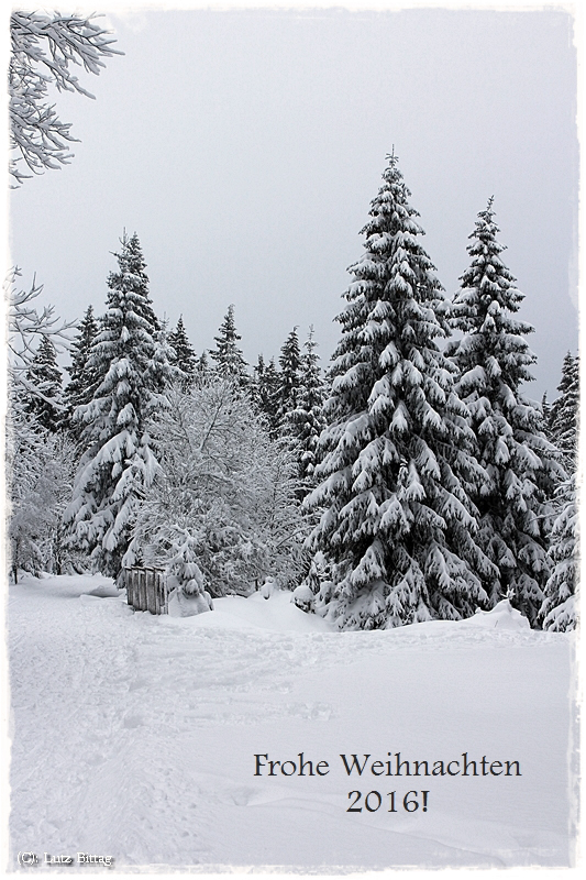 Frohe Weihnachten 2016