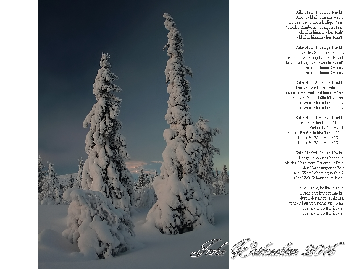 Stille Feiertage 2016 - The Recomendation Letter