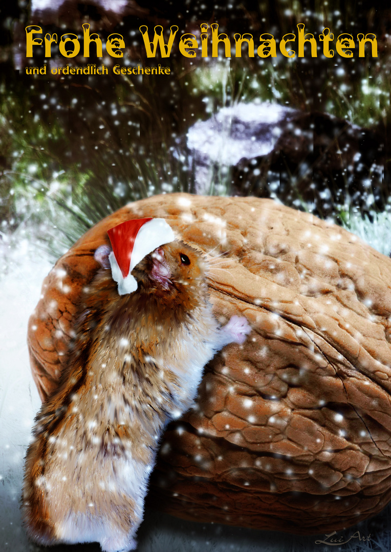 frohe Weihnachten 2017