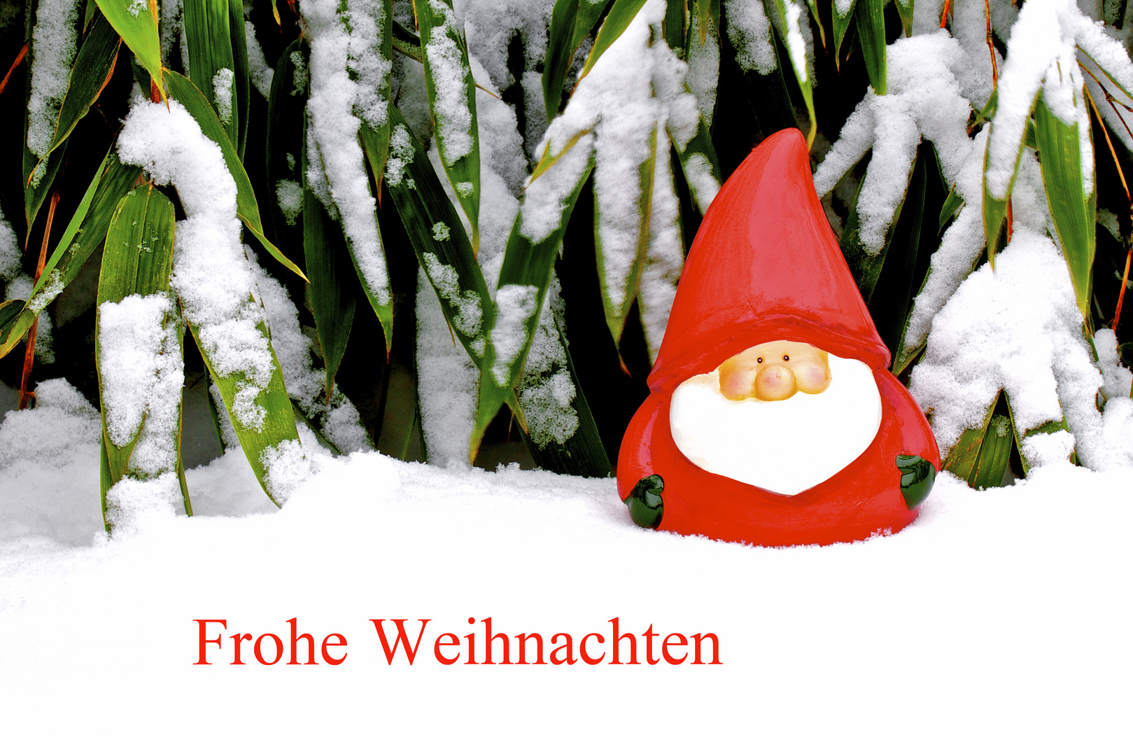 Frohe Weihnachten Foto & Bild | karten und kalender, weihnachtskarten