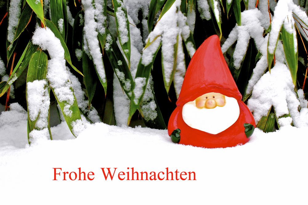 Frohe Weihnachten